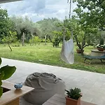 Tatil Evi Casa Riva - Among Olive Trees And The Tuscan Coast Vada