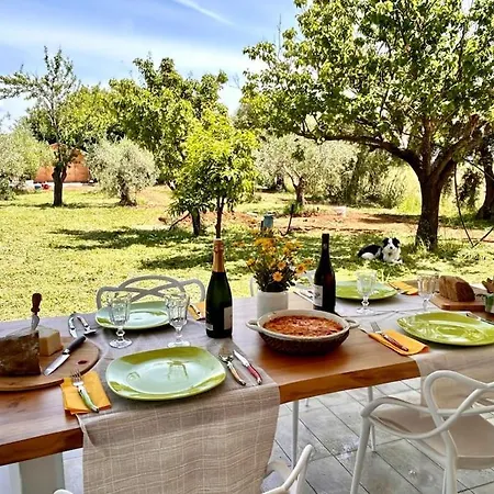 Casa Riva - Among Olive Trees And The Tuscan Coast *