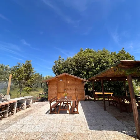 Casa Riva - Among Olive Trees And The Tuscan Coast בית נופש