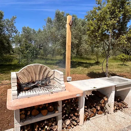 Casa Riva - Among Olive Trees And The Tuscan Coast בית נופש