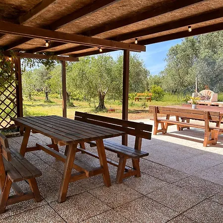 Casa Riva - Among Olive Trees And The Tuscan Coast *