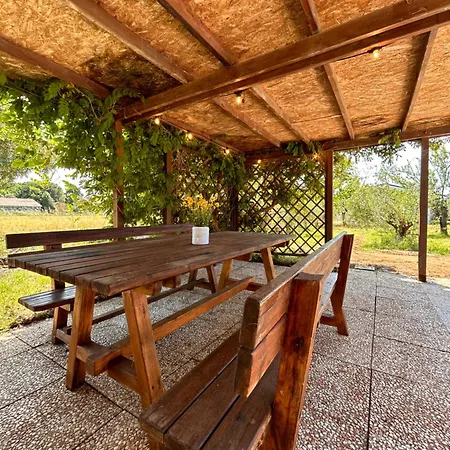 Casa Riva - Among Olive Trees And The Tuscan Coast בית נופש ואדה