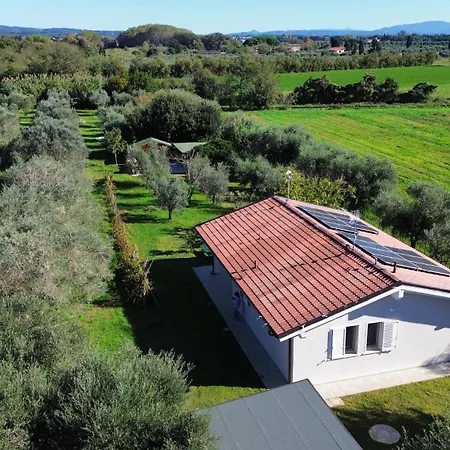 בית נופש Casa Riva - Among Olive Trees And The Tuscan Coast