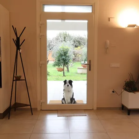 Casa Riva - Among Olive Trees And The Tuscan Coast * ואדה