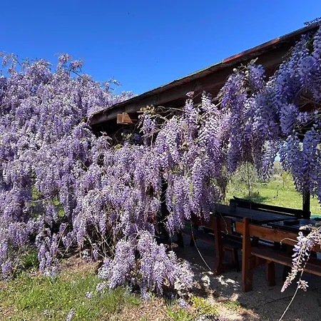 בית נופש Casa Riva - Among Olive Trees And The Tuscan Coast *