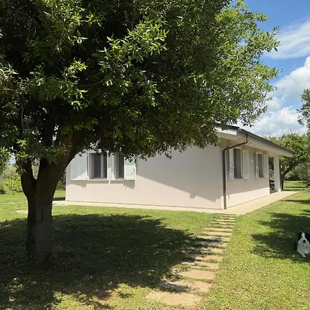 Casa Riva - Among Olive Trees And The Tuscan Coast