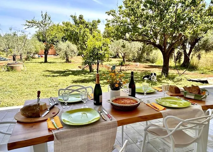 Casa Riva - Among Olive Trees And The Tuscan Coast *